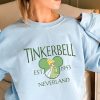 Vintage Never Grow Up Shirt, Retro Disney Tinker Bell Wendy Flight Neverland Shirt, Disney Family Vacation Sweatshirt