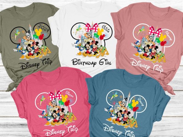 Custom Name Disney 2024 T-Shirt, Disney Family Shirts, Disney Shirts, Disney Castle Shirts, Matching Family Disney Shirts,